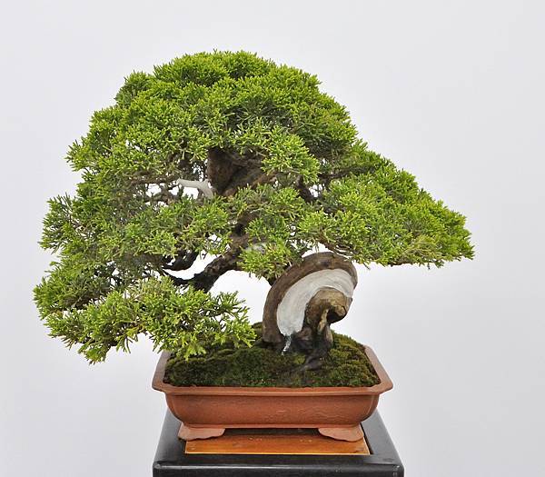 2024雅風展_199.JPG
