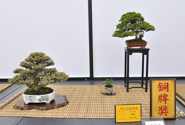 2024雅風展_198.JPG