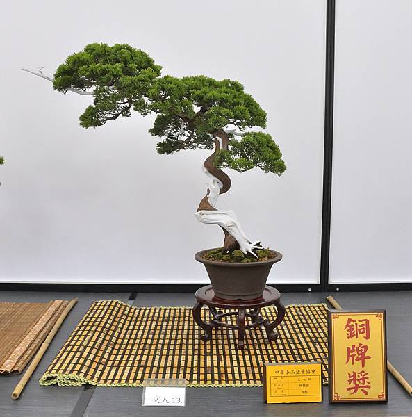 2024雅風展_206.JPG