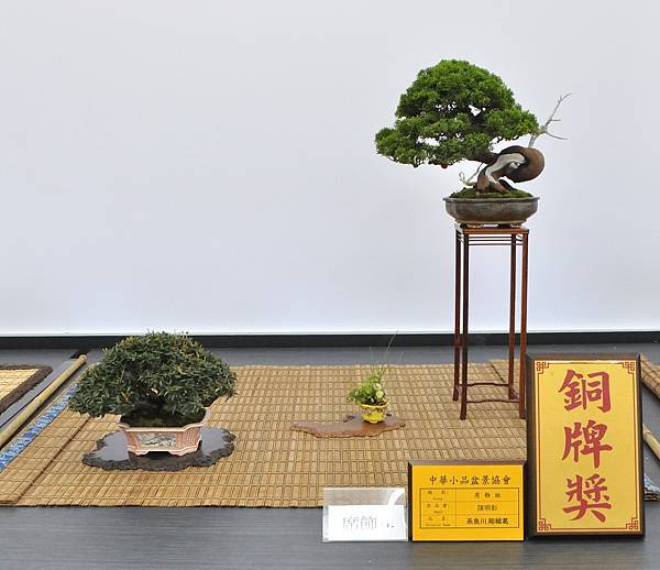 2024雅風展_202.JPG