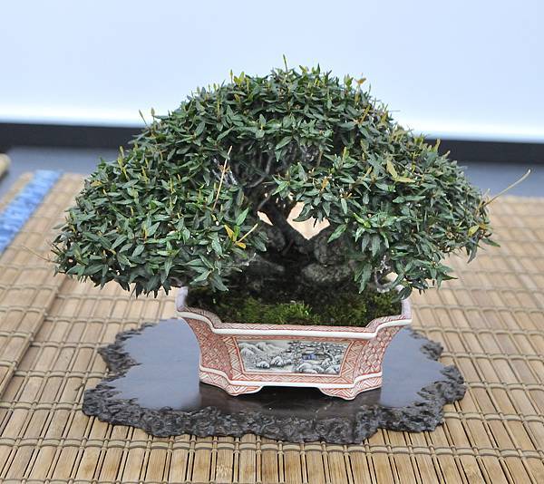 2024雅風展_204.JPG