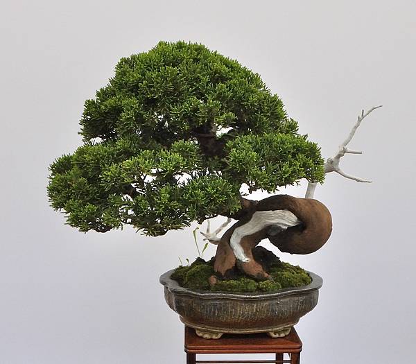 2024雅風展_203.JPG