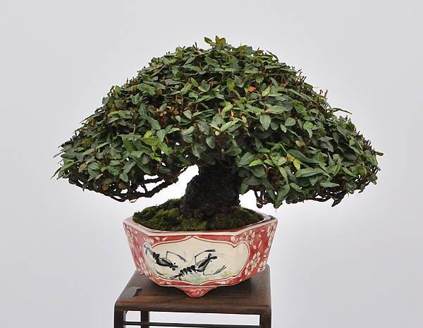 2024雅風展_208.JPG