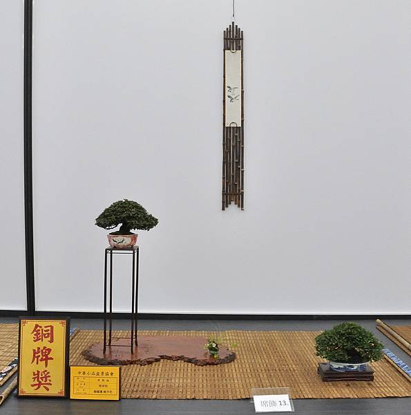 2024雅風展_207.JPG