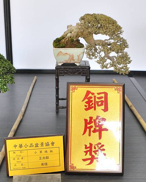 2024雅風展_215.JPG