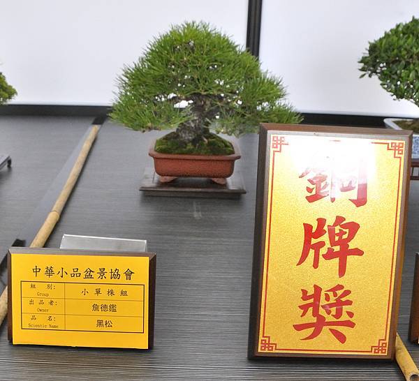 2024雅風展_213.JPG