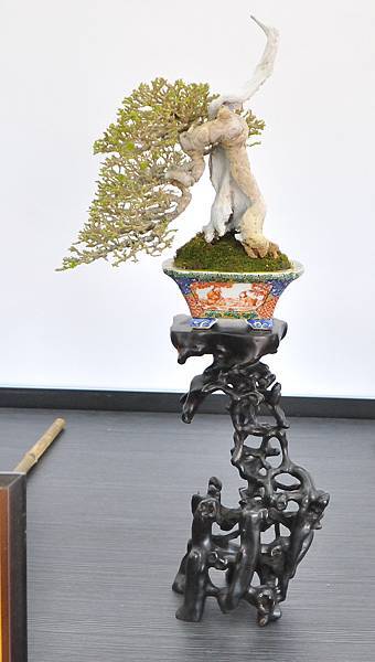 2024雅風展_218.JPG