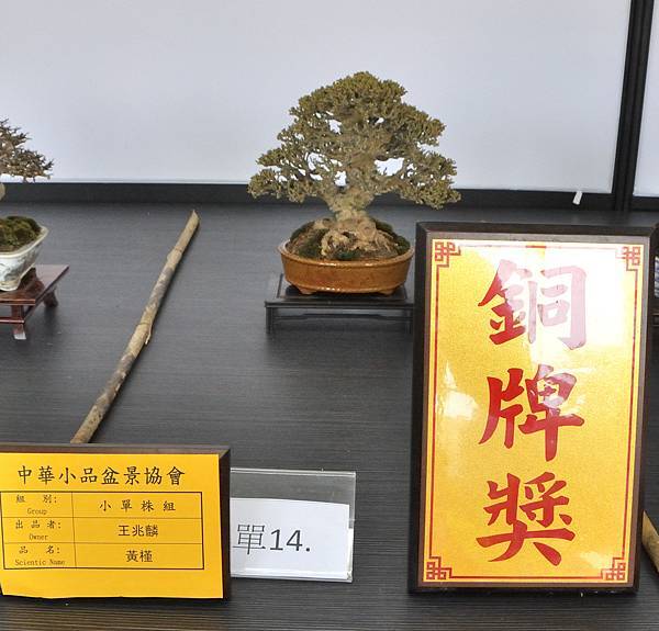 2024雅風展_217.JPG