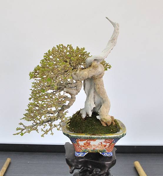 2024雅風展_219.JPG