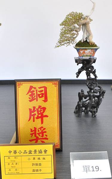 2024雅風展_220.JPG
