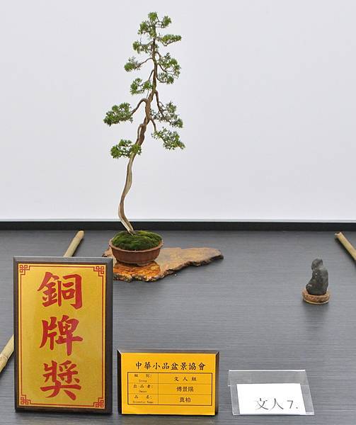2024雅風展_223.JPG