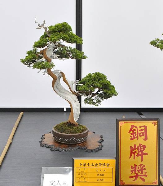2024雅風展_222.JPG