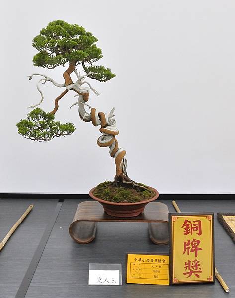 2024雅風展_221.JPG