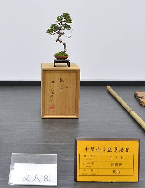 2024雅風展_224.JPG