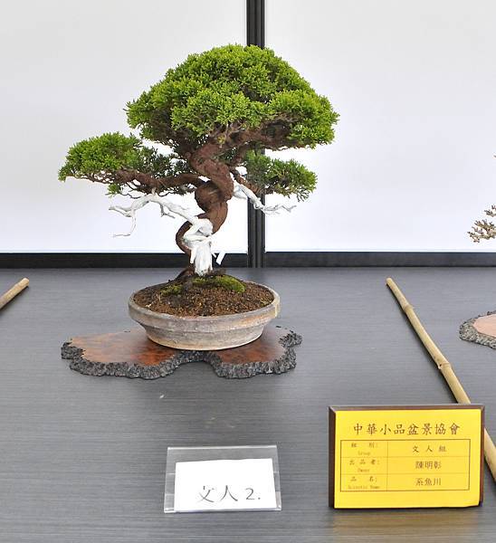 2024雅風展_227.JPG