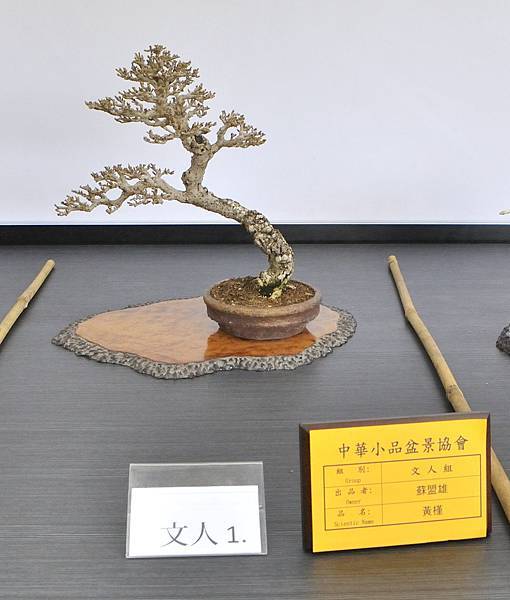 2024雅風展_228.JPG