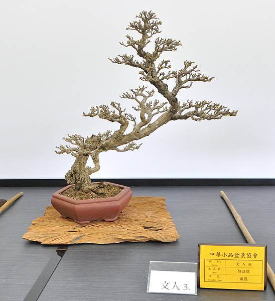 2024雅風展_226.JPG