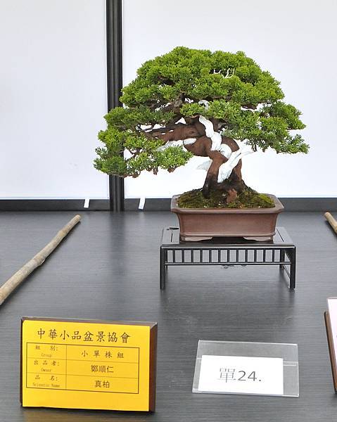 2024雅風展_230.JPG