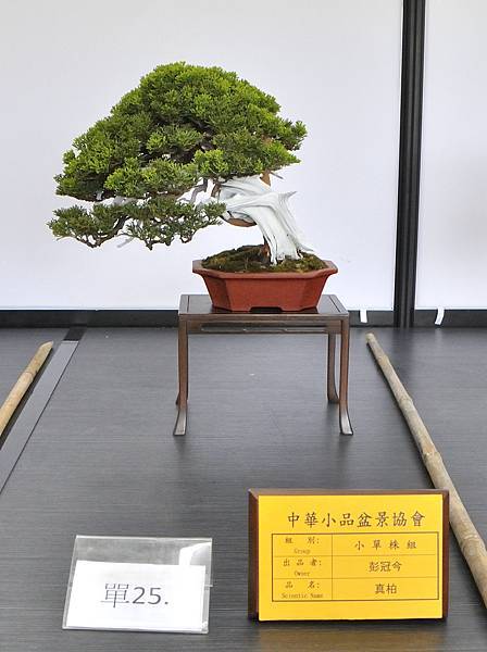 2024雅風展_229.JPG