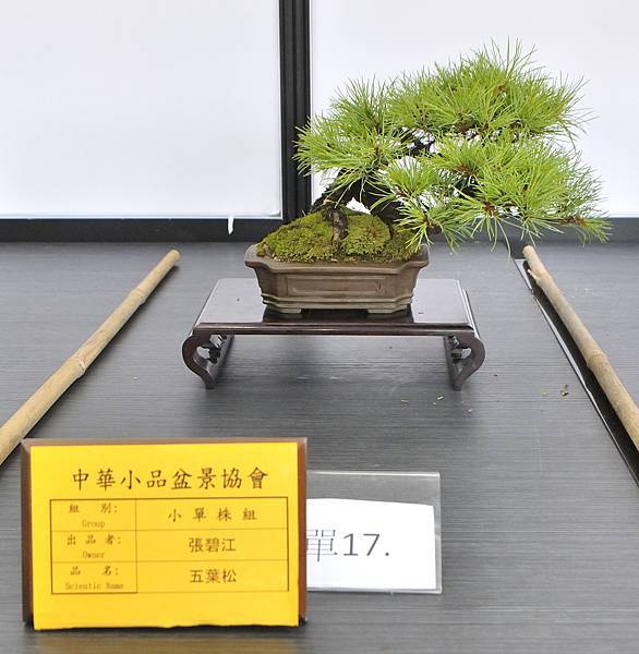 2024雅風展_235.JPG