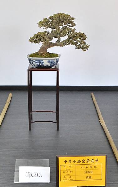 2024雅風展_232.JPG