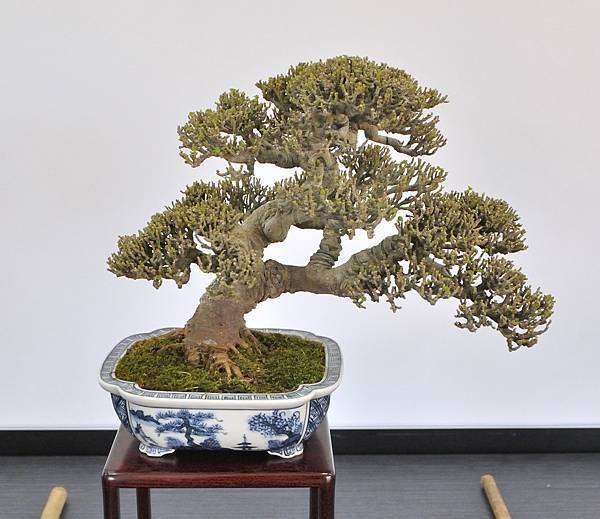 2024雅風展_233.JPG