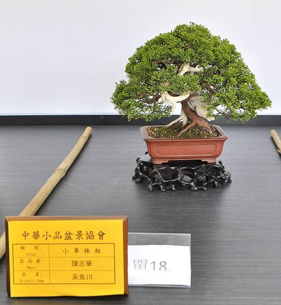 2024雅風展_234.JPG