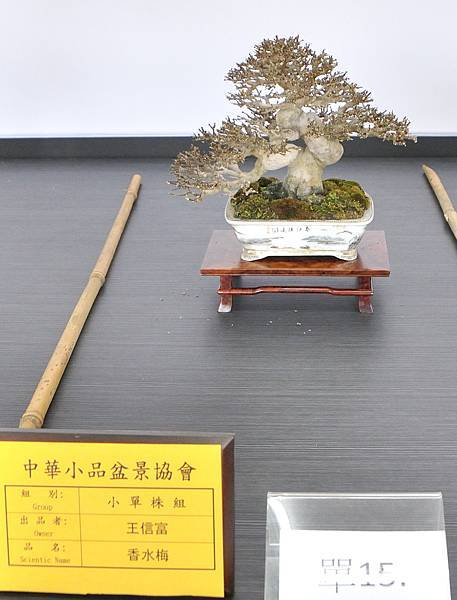 2024雅風展_237.JPG