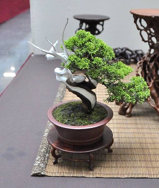 2024台中樹石展_211.JPG