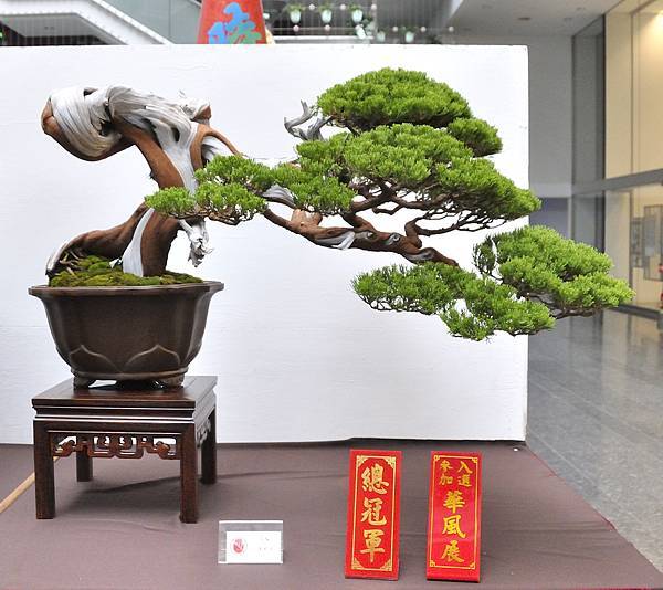2024台中樹石展_5.JPG