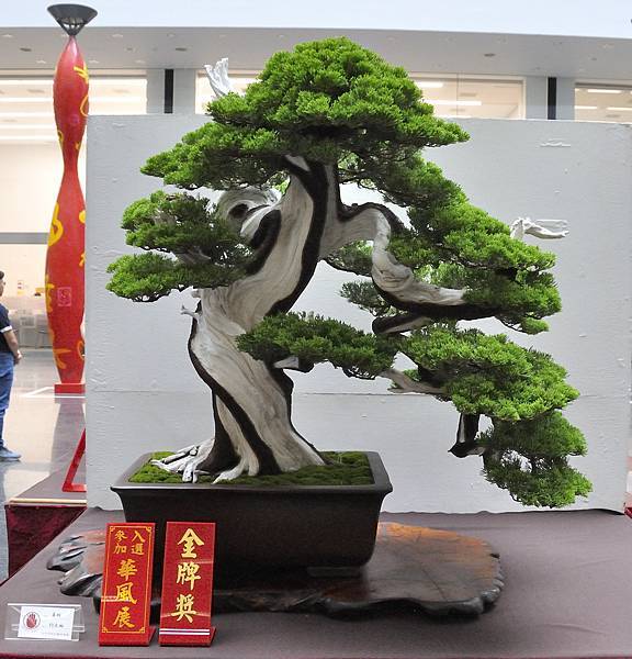 2024台中樹石展_16.JPG