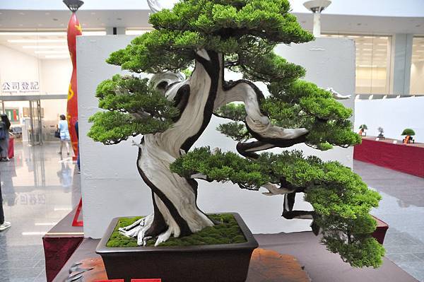 2024台中樹石展_18.JPG