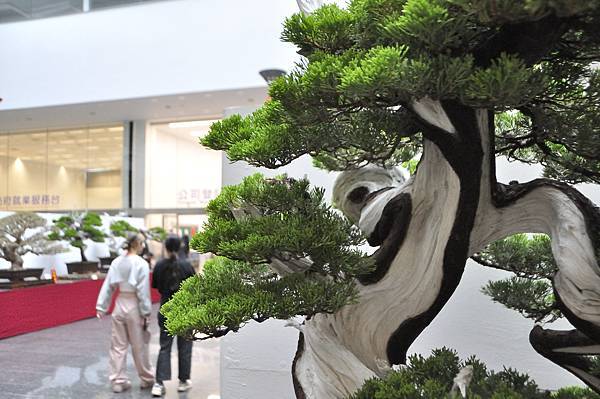 2024台中樹石展_20.JPG