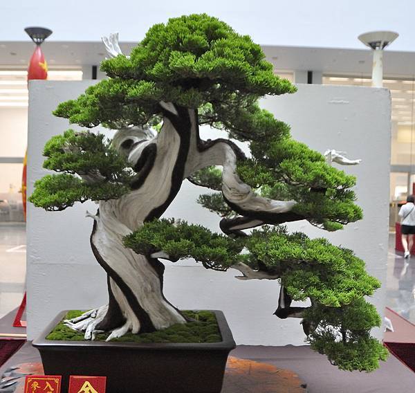 2024台中樹石展_24.JPG