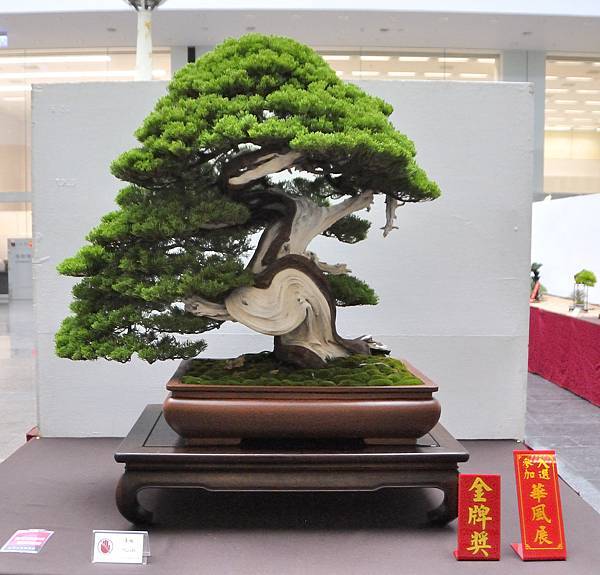 2024台中樹石展_29.JPG