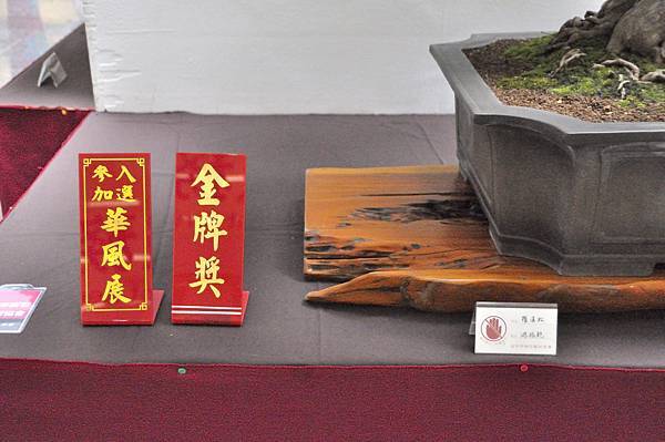 2024台中樹石展_60.JPG