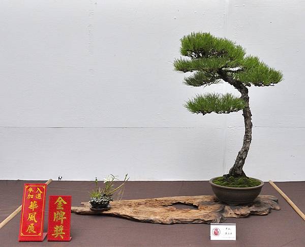 2024台中樹石展_68.JPG