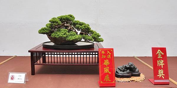 2024台中樹石展_77.JPG