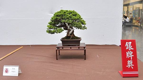 2024台中樹石展_82.JPG