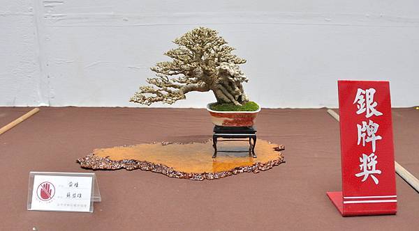 2024台中樹石展_84.JPG