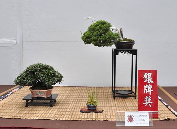 2024台中樹石展_86.JPG
