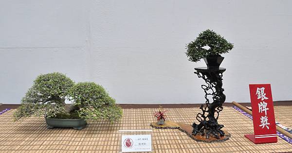 2024台中樹石展_90.JPG