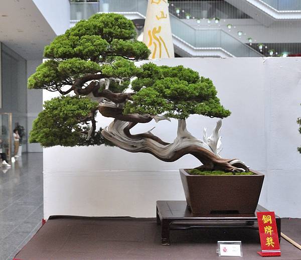 2024台中樹石展_100.JPG