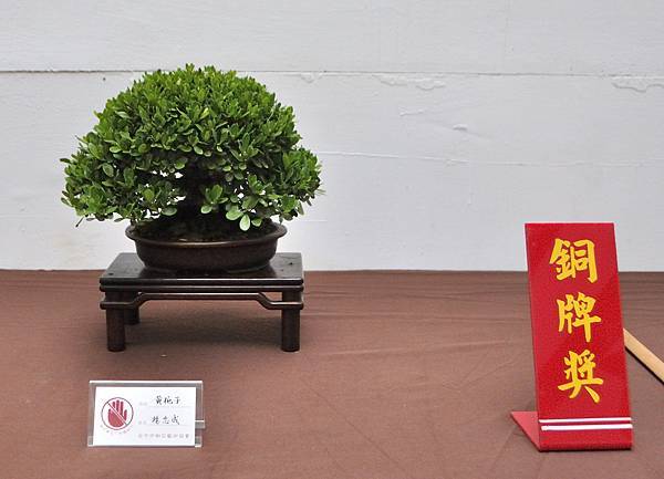 2024台中樹石展_103.JPG