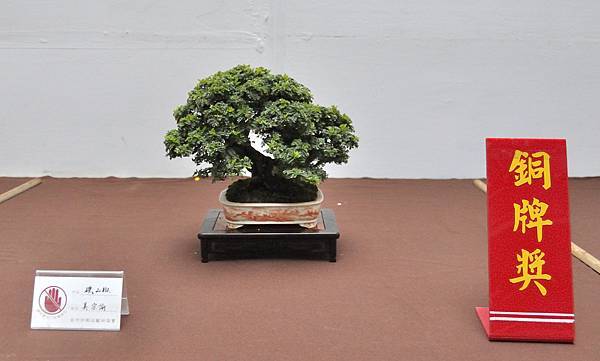 2024台中樹石展_101.JPG