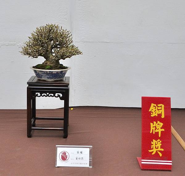 2024台中樹石展_105.JPG