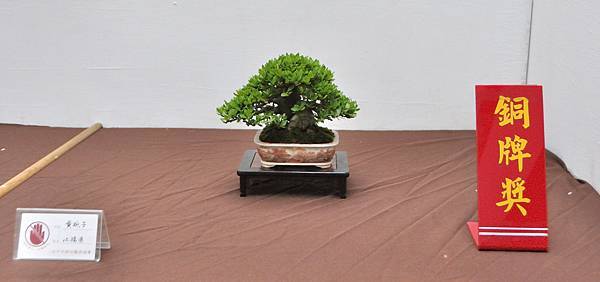 2024台中樹石展_108.JPG