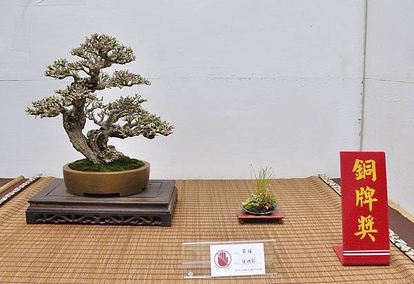 2024台中樹石展_110.JPG