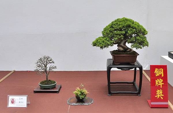 2024台中樹石展_118.JPG
