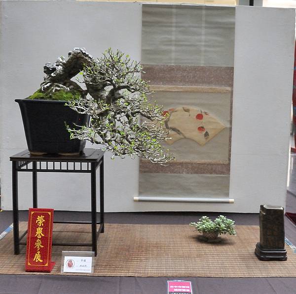 2024台中樹石展_124.JPG